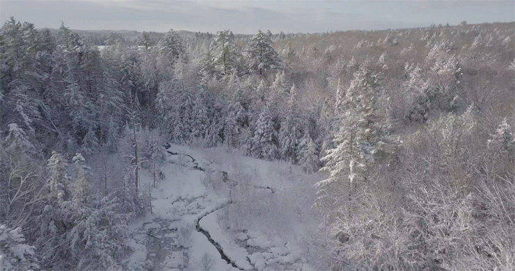 Something Other Than Its Own Mass